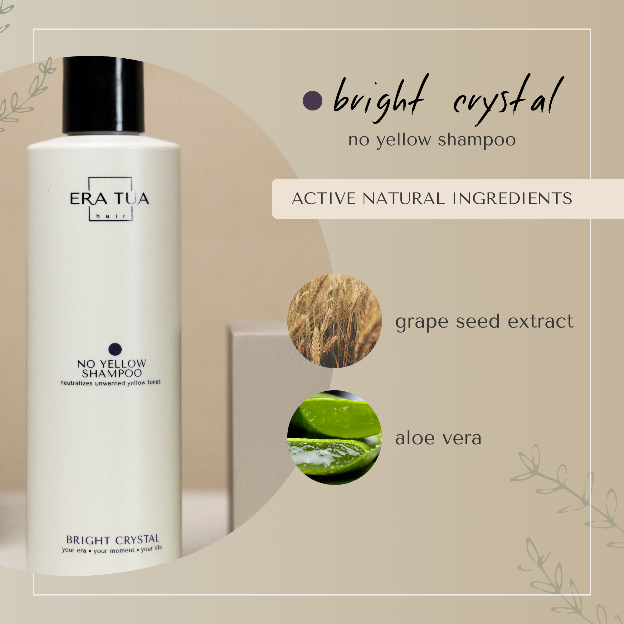 Bright Crystal No Yellow Shampoo