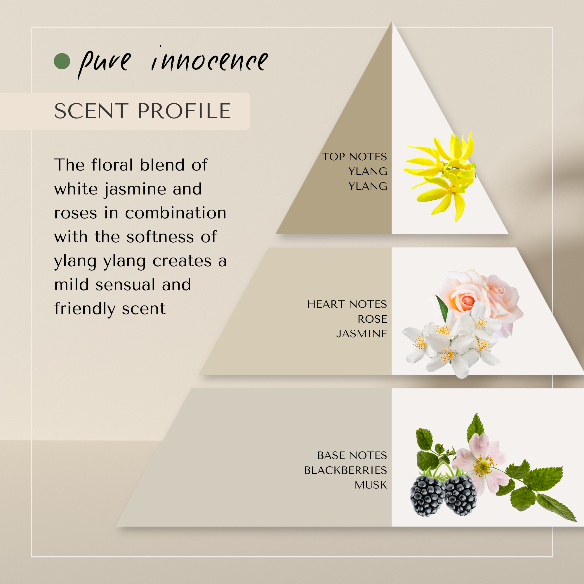 Pure Innocence Shower Cream