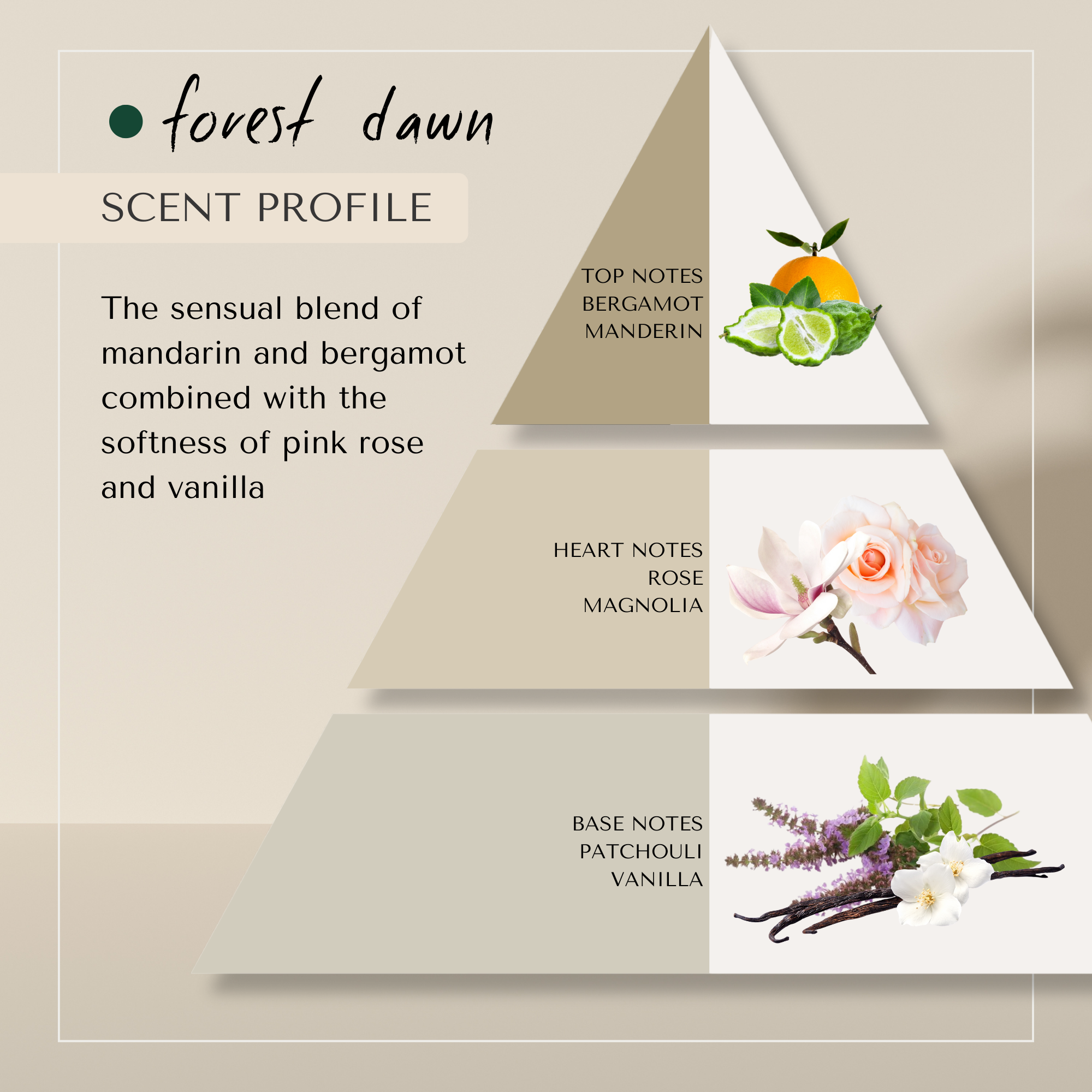 Forest Dawn No Orange Shampoo