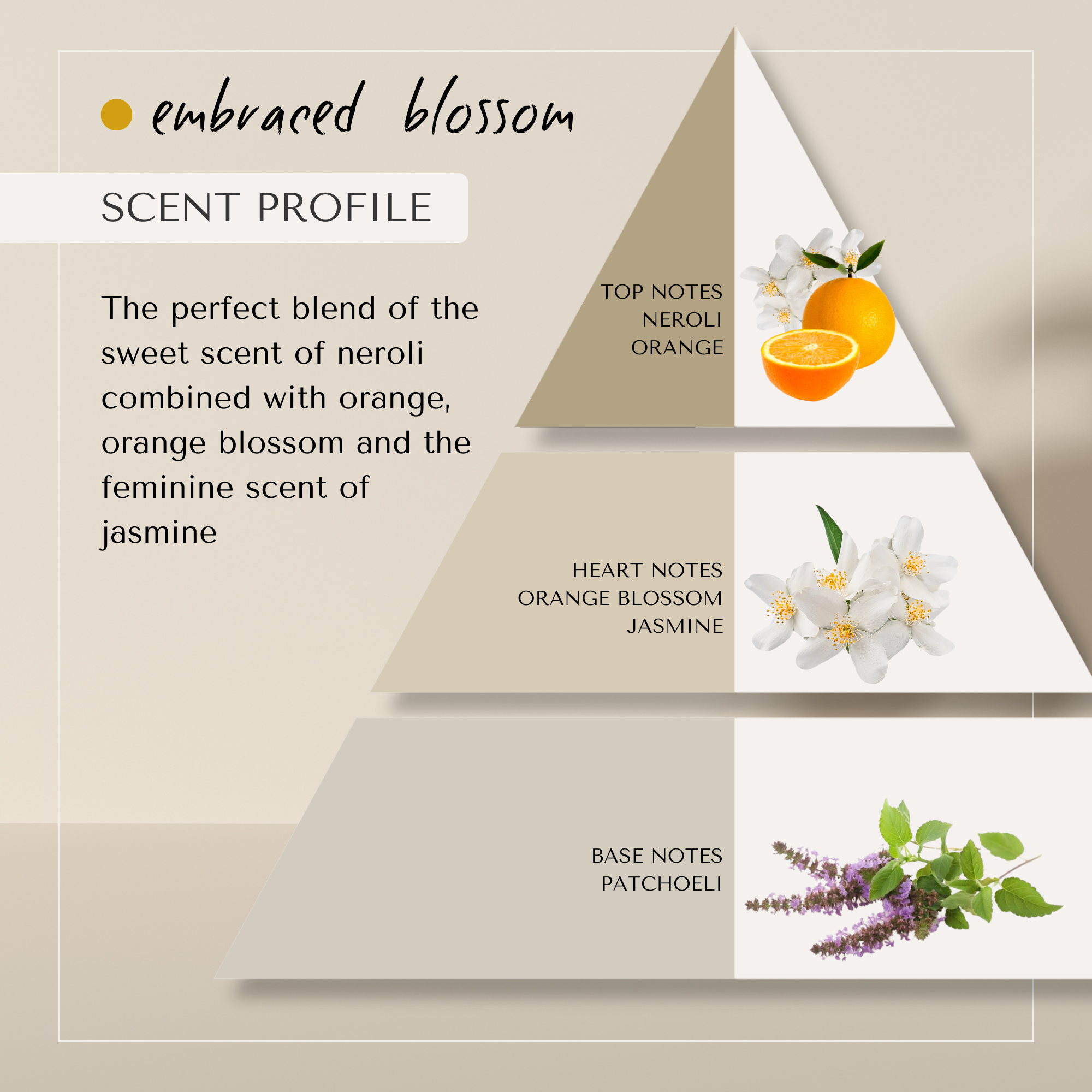 Embraced Blossom Repairing Structure Shampoo