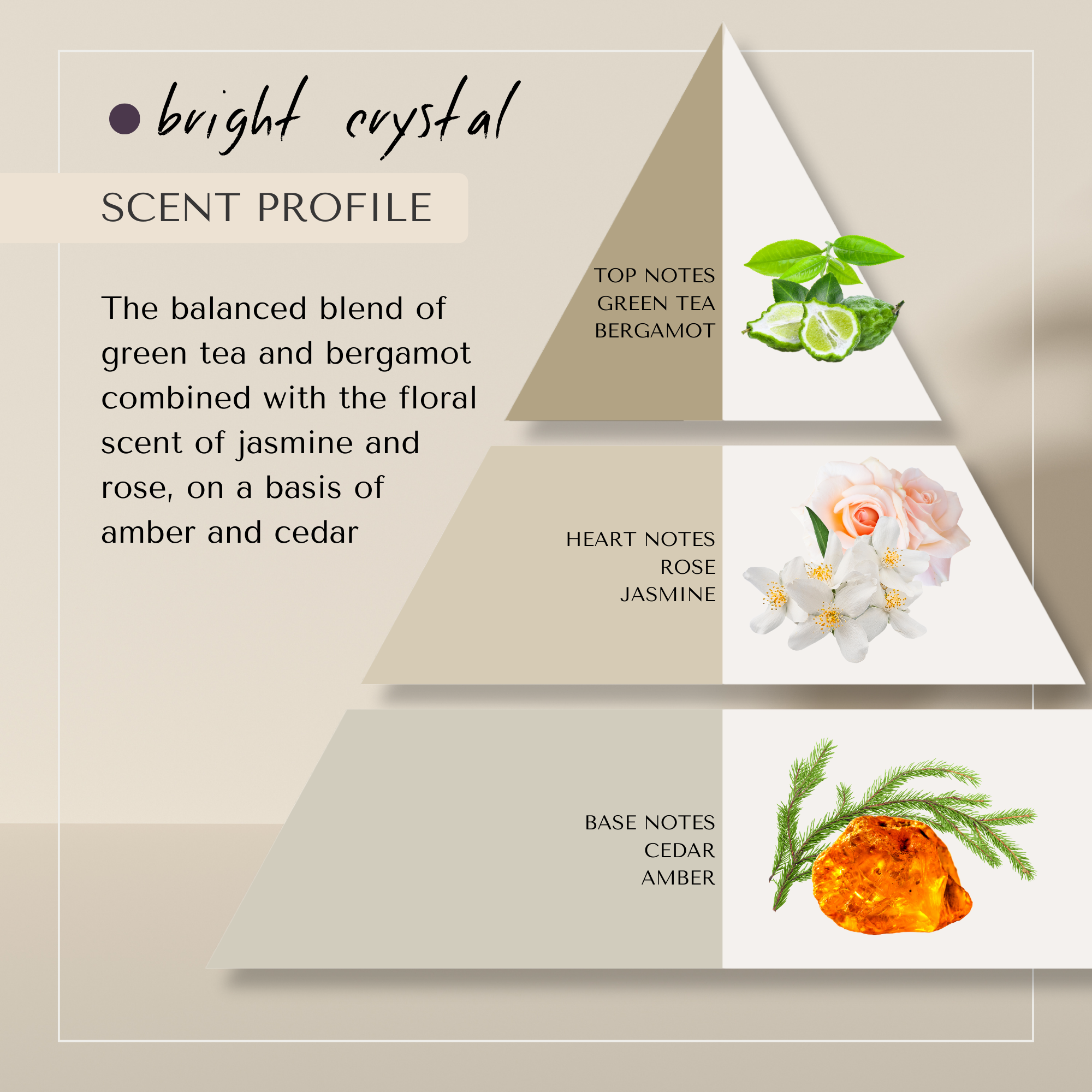 Bright Crystal No Yellow Shampoo