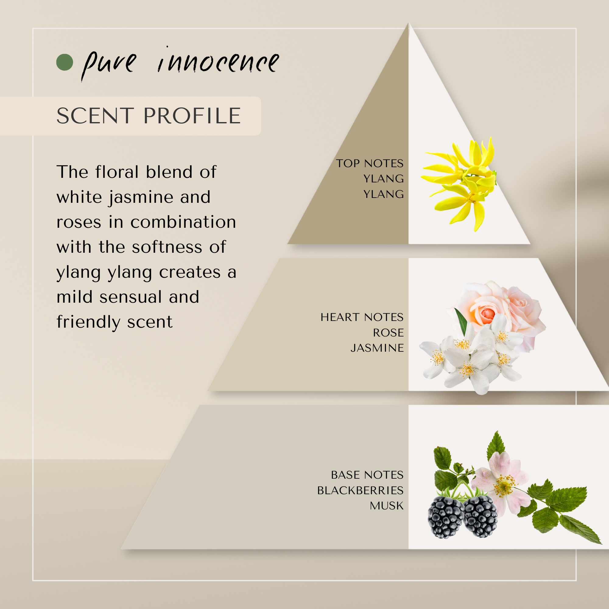 Pure Innocence Volumizing Shampoo