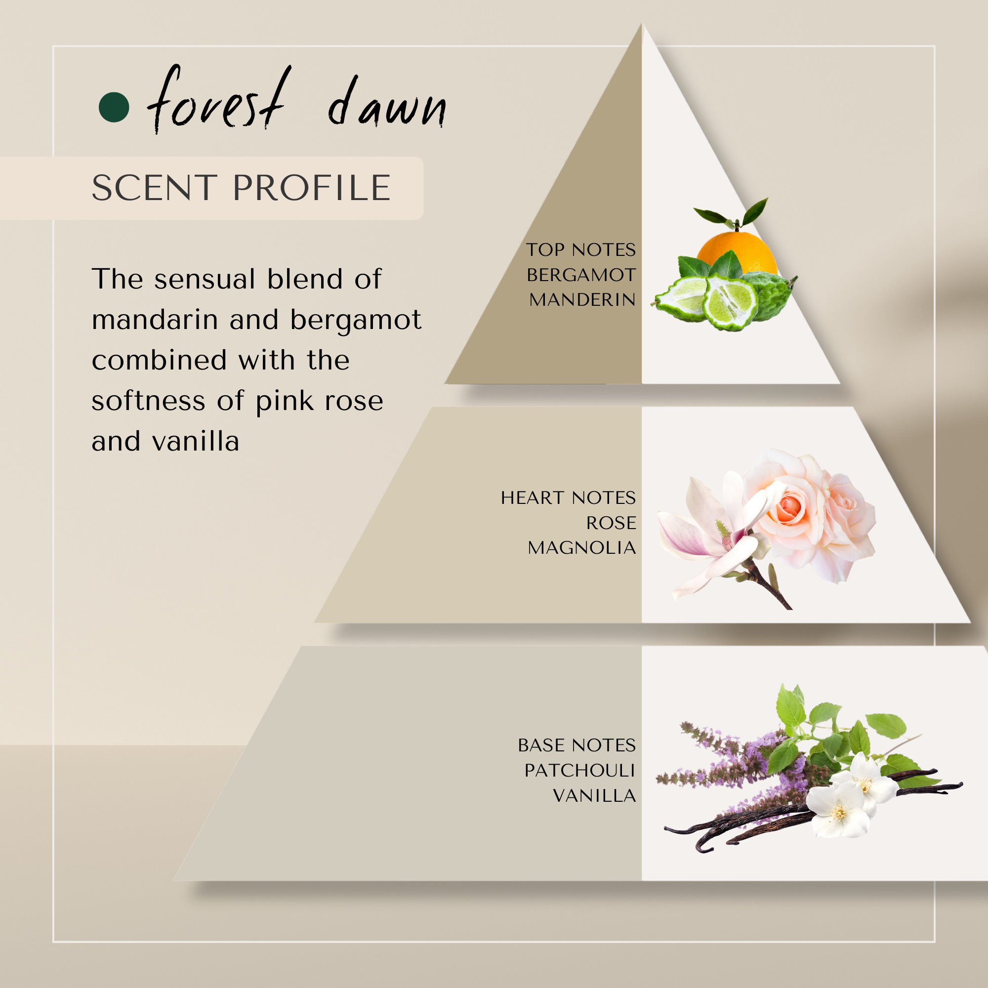 Forest Dawn No Orange Conditioner