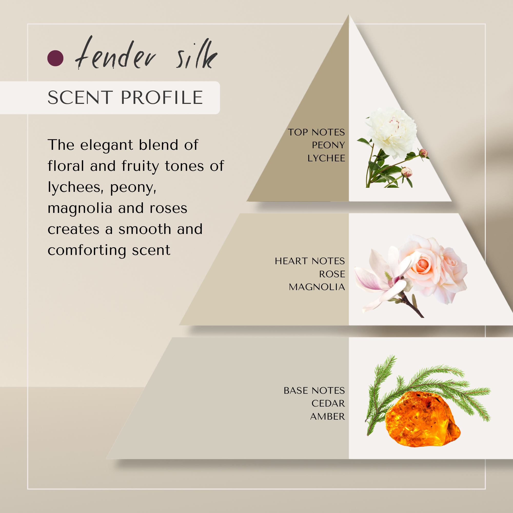 Tender Silk Bouncing Curls Shampoo